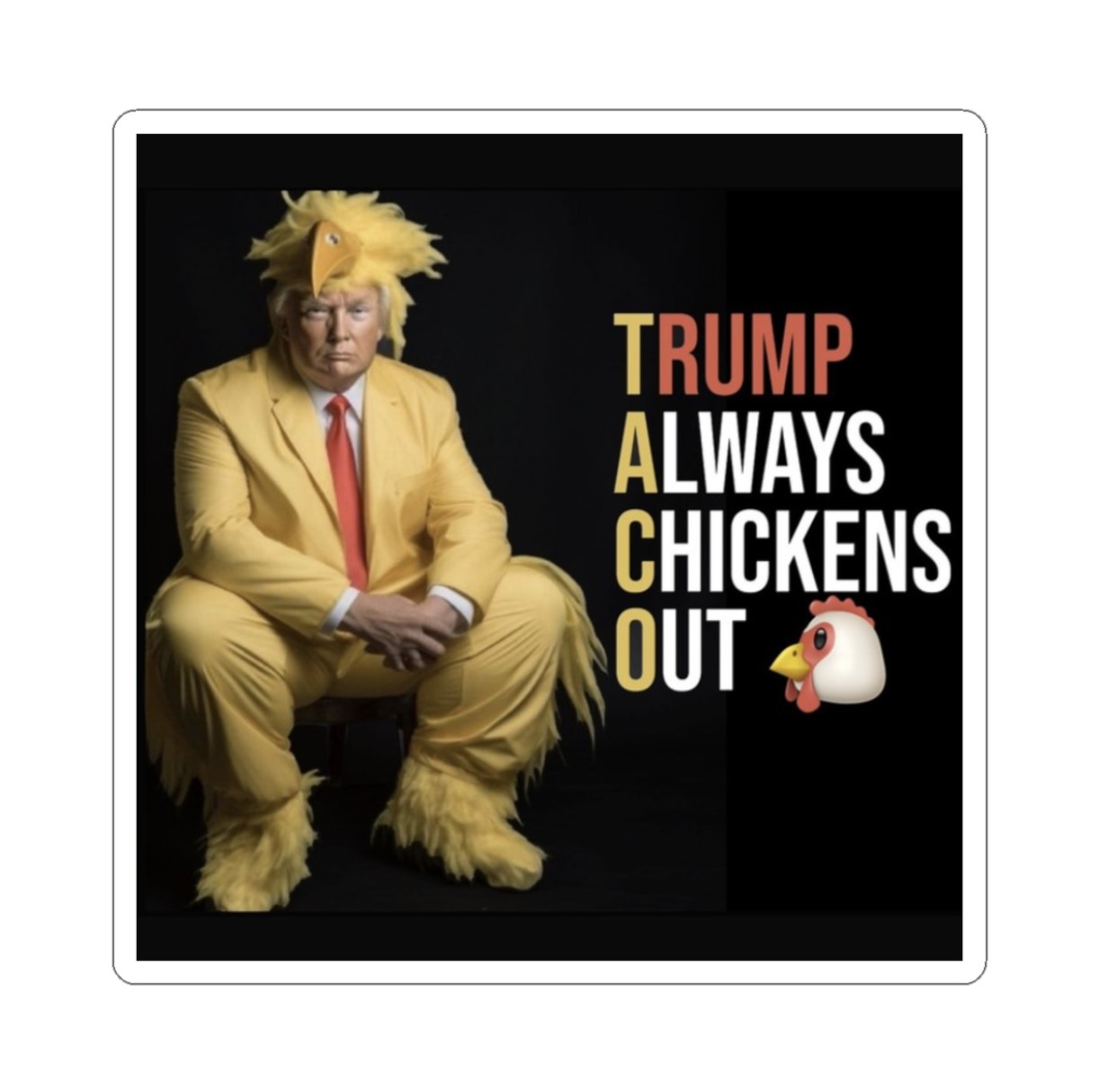 Trump Always Chickens Out Stickers
