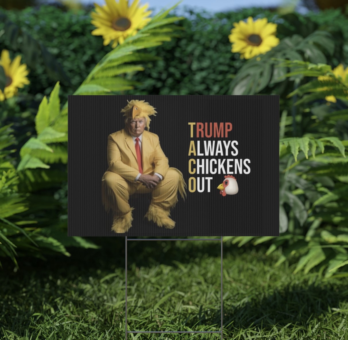 Trump Always Chickens Out Yard Sign